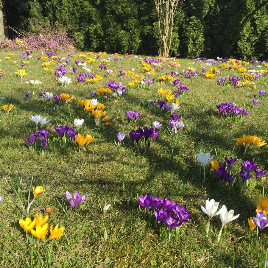 Ferienwohnungen Am Feldrain - Gornau Im Erzgebirge Zschopau Exteriér fotografie